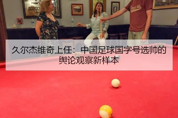 久尔杰维奇上任：中国足球国字号选帅的舆论观察新样本